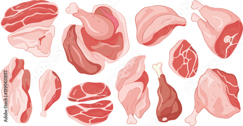 Raw meat cuts vector illustration set with beef pork and chicken pieces in fresh butcher style collection for food design