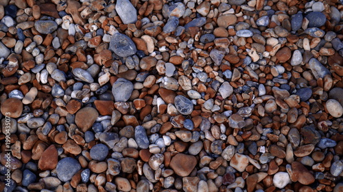 Fotografi Colorful stones cover the ground along a riverbank under bright sunlight during