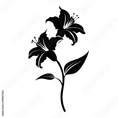 Lily flower silhouette vector illustration. Elegant botanical plant design element. Isolated on transparent background