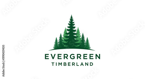 Evergreen Timberland Logo Design Featuring Pine Trees.