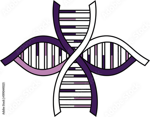 DNA Double Helix Structure Model.