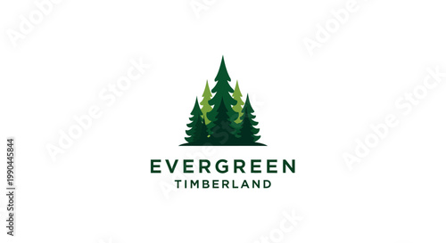 Evergreen Timberland Logo Design with Pine Trees.