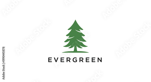 Evergreen Tree Logo Design.