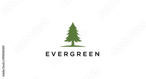 Evergreen Tree Logo Design.