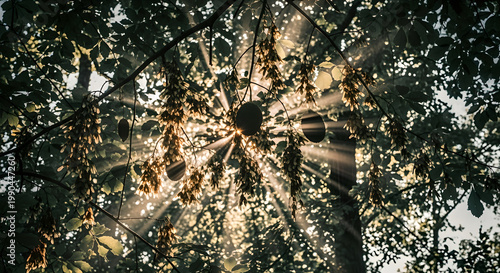 A nostalgic minimalist scene with trees and leaves illuminated by sunlight filtering through.