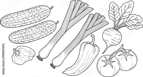 Hand drawn vegetable set with cucumber leek pepper tomato and radish line art isolated on white background for food illustration and organic farming concepts
