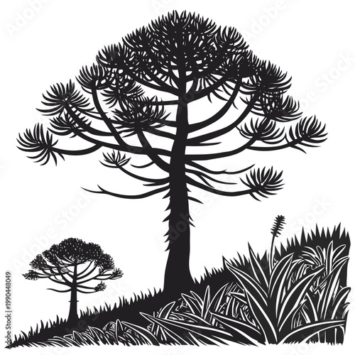 Monkey puzzle tree silhouette spiky upturned branches scaly