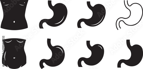 A collection of black silhouettes depicting various stomach shapes and sizes on a white background
