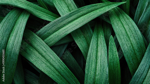 Dark green leaf texture with woven plant pattern in closeup creating natural abstract botanical background surface