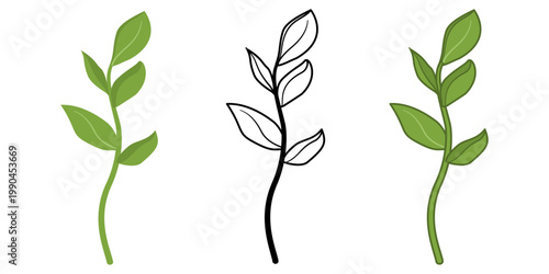 Combination of line art and colored illustration of a simple leaf branch with clean shapes and natural style.
