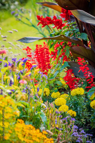 Colorful garden blooms vibrate under the sun, creating a radiant tapestry of nature's beauty