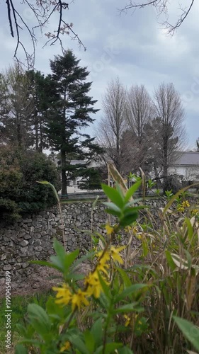 Handheld Camera Video of Bird Flying Near Trees
