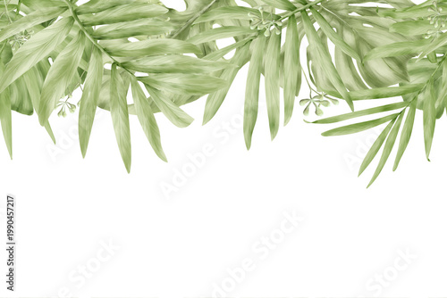 Palm and monstera leaves, seamless border. Watercolor illustration. The drawing was drawn manually. The leaves of tropical trees are isolated on a white background.