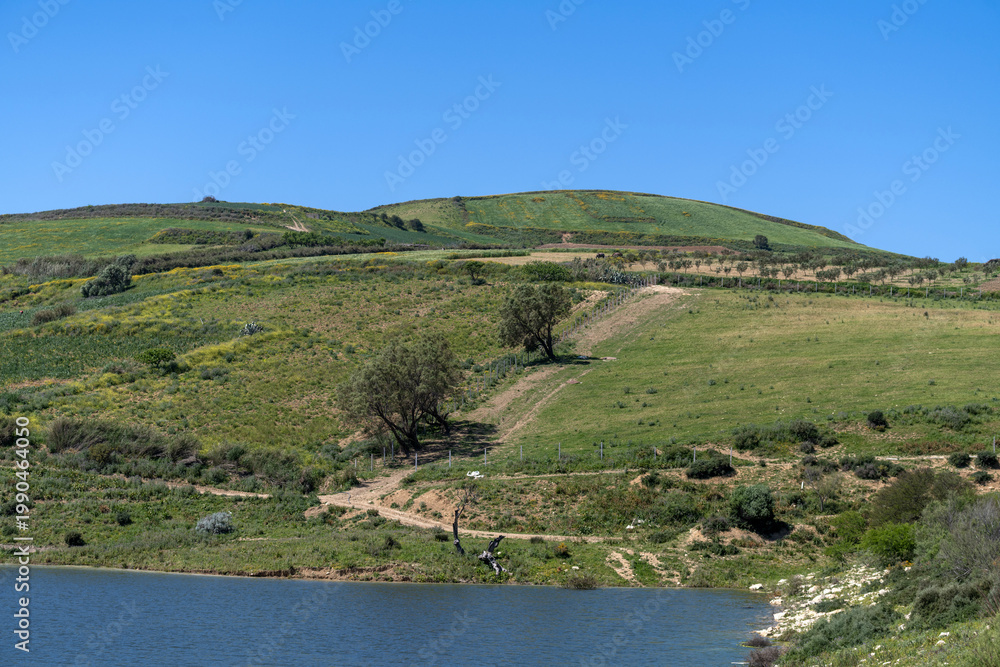 Fototapeta premium Paysage rural au printemps