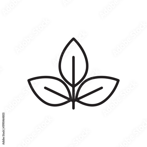 Simple 3 leafs outline vector flat illustration design