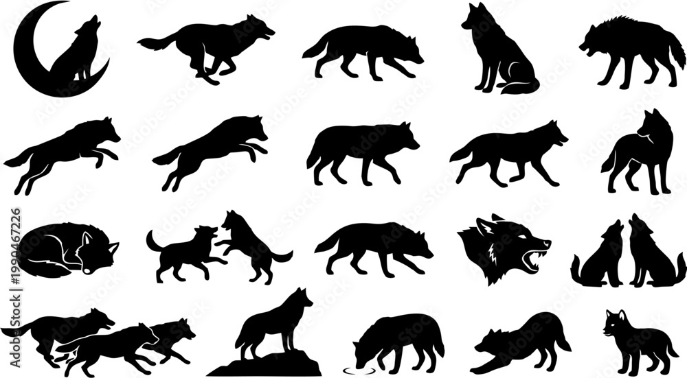 Fototapeta premium Collection of Silhouette Vector Graphics of Wolves in Various Poses and Actions, Ideal for Wildlife and Nature Themed Designs