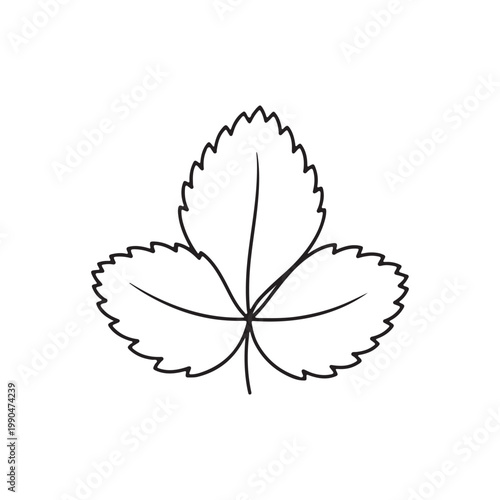 Strawberry leaves outline vector flat illustration design