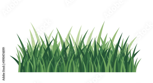 Green grass blades on white background