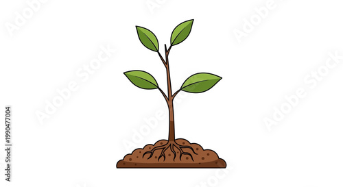 Green plant sprout with roots in soil