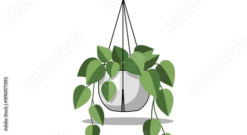 Potted Plant Hanging from Ceiling with Green Leaves