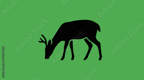 Silhouette of a deer grazing on green grass, nature scene.