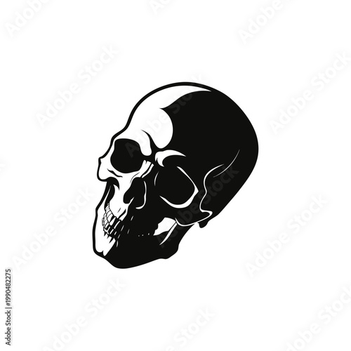 Vintage human skull vector illustration, anatomical cranium profile in black and white, gothic death head graphic for apparel and tattoo design