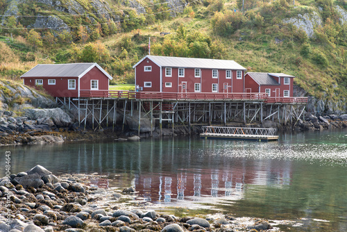 Obraz na płótnie Red rorbuer on stilts along fjord with green hillside in the Lofoten Islands, No