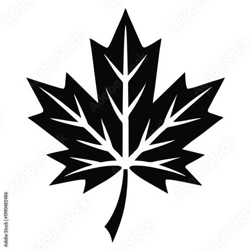 Minimalist Maple Leaf Silhouette Black Vector Icon Canadian Autumn Nature Symbol