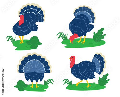 Turkey birds grazing grassland foraging eating grass. Colorful feathers cartoon drawing cartoonish styled isolated white background. Turkeys standing walking vibrant attractive illustration vector