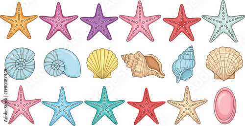 Colorful Starfish and Seashell Vector Set with Nautilus Scallop Conch and Spiral Shells in Bright Pink Blue Purple for Summer Beach Coastal and Nautical Designs