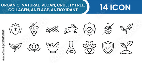 Organic & Vegan Skincare Icon Pack – Natural, Cruelty-Free, Collagen, Anti-Age, Antioxidant, Beauty Vector Icons