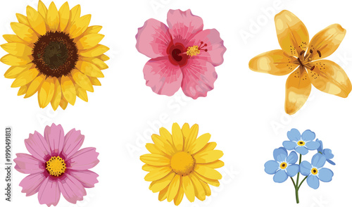Colorful Flower Illustration Set Featuring Sunflower Hibiscus Lily Daisy and Wildflowers for Botanical Design Spring Decoration and Nature Graphics