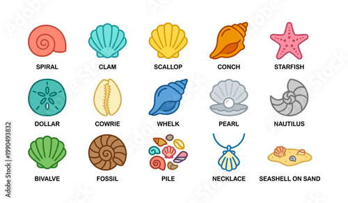 Various seashell and fossil icons arranged in grid on white background