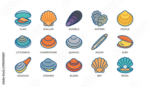 Shell and mollusk icons arranged in a grid on white background