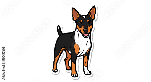 Rat Terrier Dog Vector Illustration, Cute Tri-Color Canine Character Design, Flat Style Graphic for Pet Lovers and Animal Themed Projects