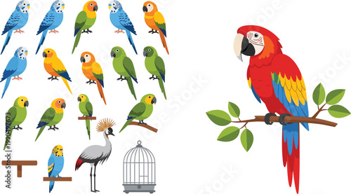 Colorful Parrot and Bird Collection with Tropical Macaw, Budgerigar and Exotic Avian Species for Wildlife Design, Nature Illustration and Decorative Vector Artwork.