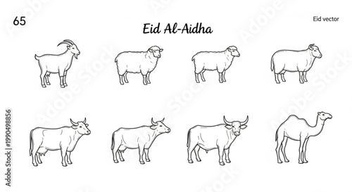Eid Al-Adha animal collection vector illustrations of goat sheep cow and camel for Islamic holiday design isolated on white