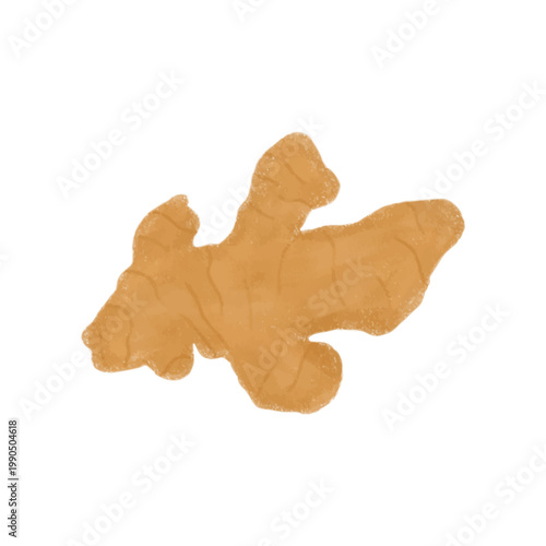 The image features a simplified, artistic illustration of a ginger root (rhizome) set against a solid white background. 