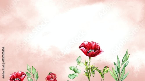 Watercolor animation of red poppies growing, blooming and gently swaying in the wind on a soft pastel background. Elegant floral motion, botanical illustration, romantic nature scene for design decor