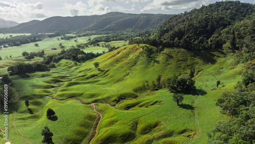 Фотография Green pasture, farm land in Daintree village, Shire of Douglas, Far North Queens