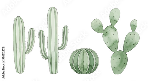 Green Cactus Plants in Desert.