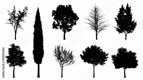 Silhouettes of various tree types against a plain white background showcasing different shapes