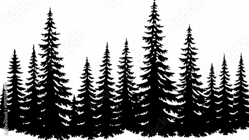 A silhouette of dense evergreen trees against a plain white background