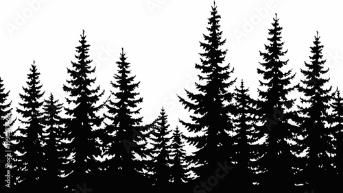 A striking black and white silhouette of a dense coniferous forest against a white background