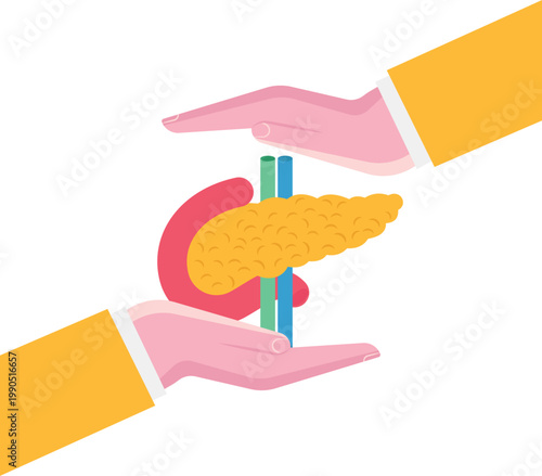 Expert hands supporting and protecting pancreas health
