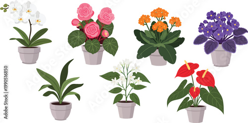 spring flowers in pots