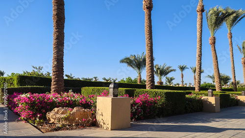 beautiful, well-kept alley with flowers and palm trees.
