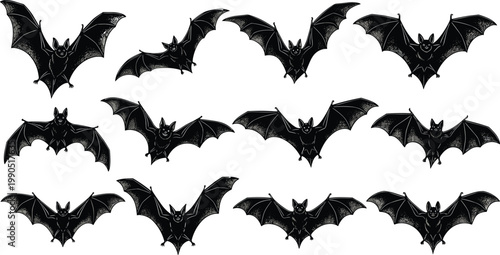 Collection of bat silhouette illustration, nocturnal animal artwork, Halloween design concept, black and white gothic vector template set