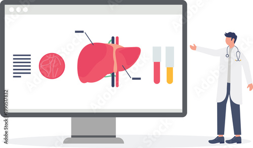 Professional analysis of liver health on medical screen