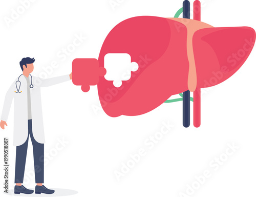 Doctor analyzing liver puzzle for health solutions